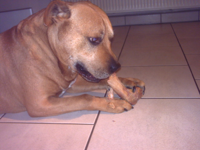 bild004.jpg